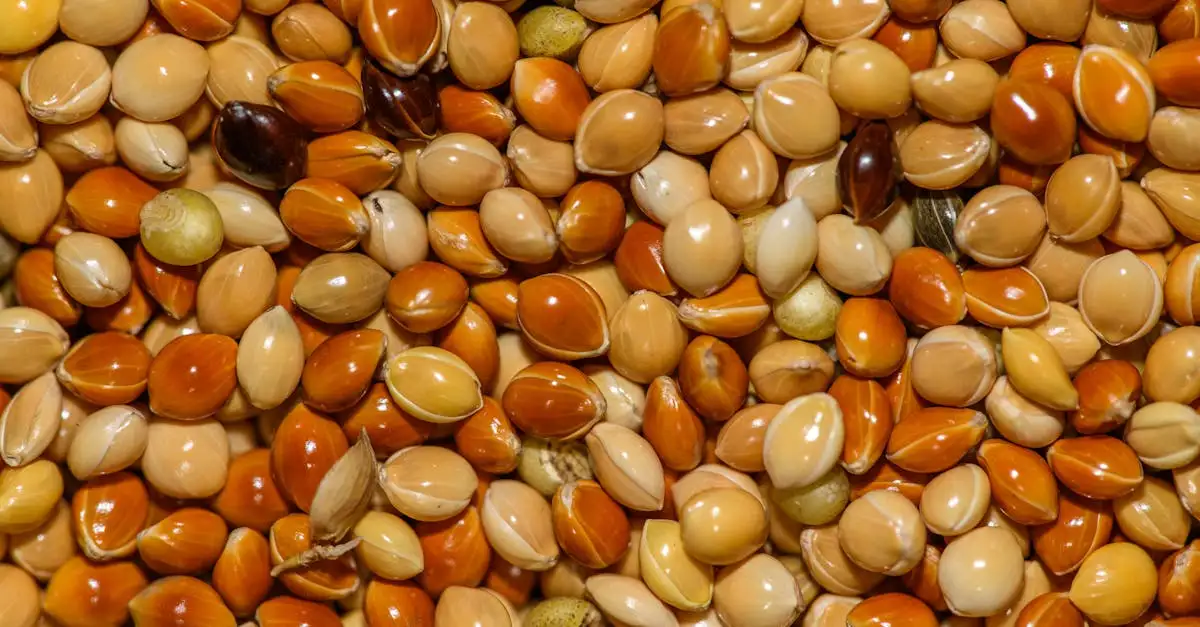 Deli Nature Perroquet : Graines et Aliments de Qualité