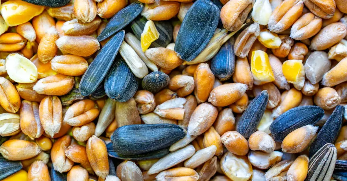 Versele-Laga Prestige Perroquet : Alimentation de Qualité