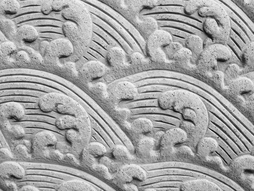 Le Cacatoès Gris du Gabon : Guide Complet et Conseils
