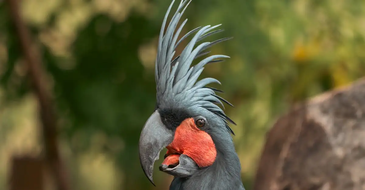 Le Cacatoès Rosalbin : Guide complet sur cet oiseau rare