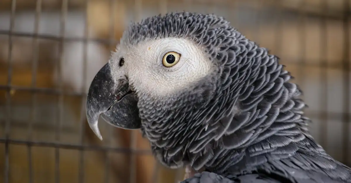 Le perroquet : espèces, soins et éducation de votre oiseau