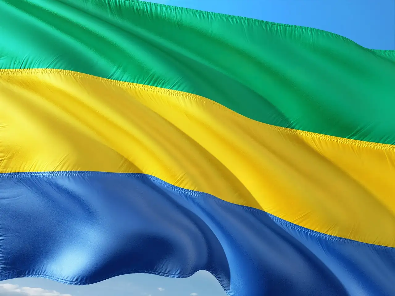 Prix du Gris du Gabon : Tarifs et Informations Clés